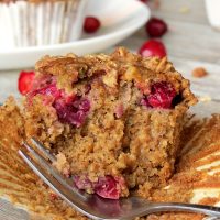 Cranberry Pumpkin Oatmeal Muffins