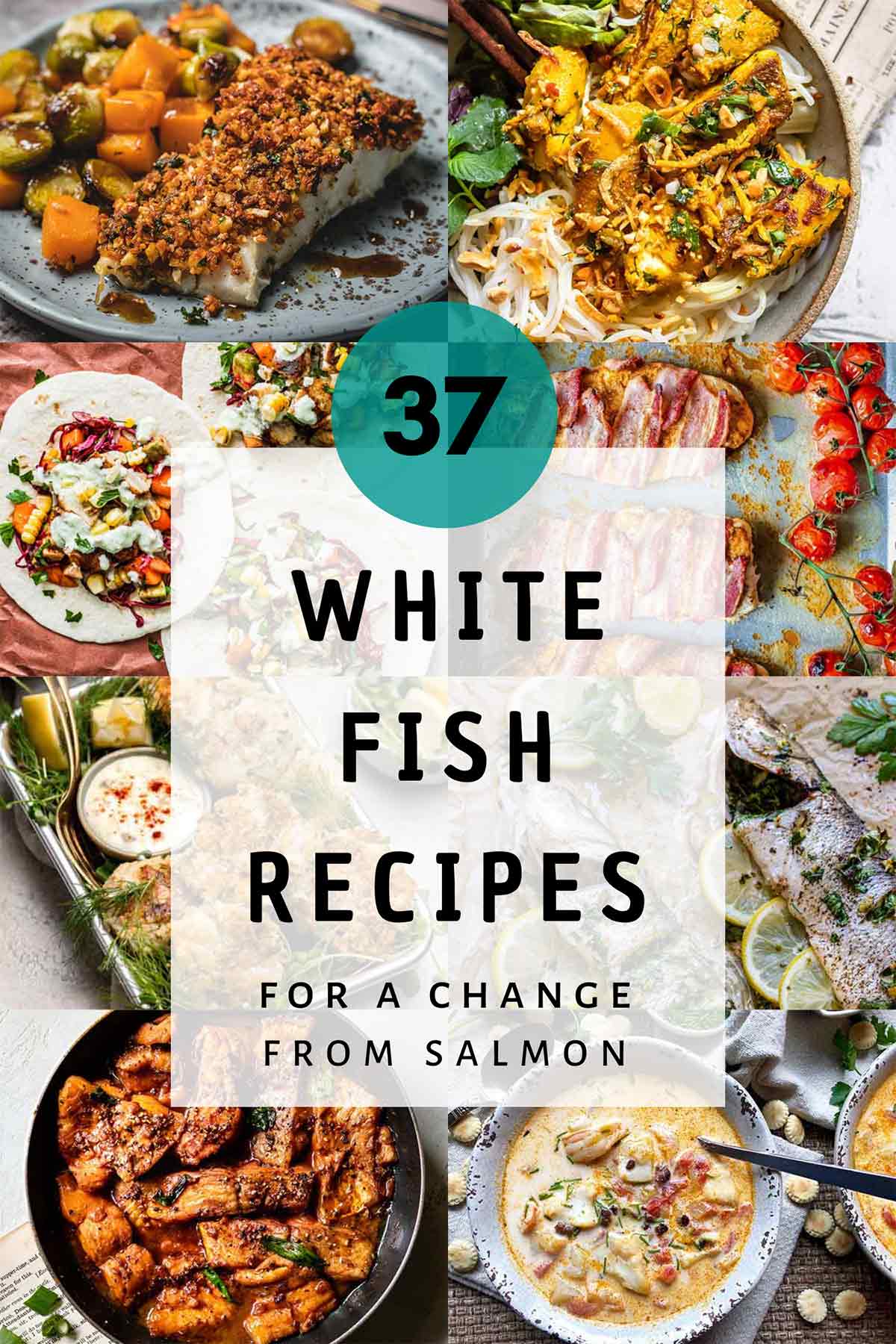 White fish recipes featured image