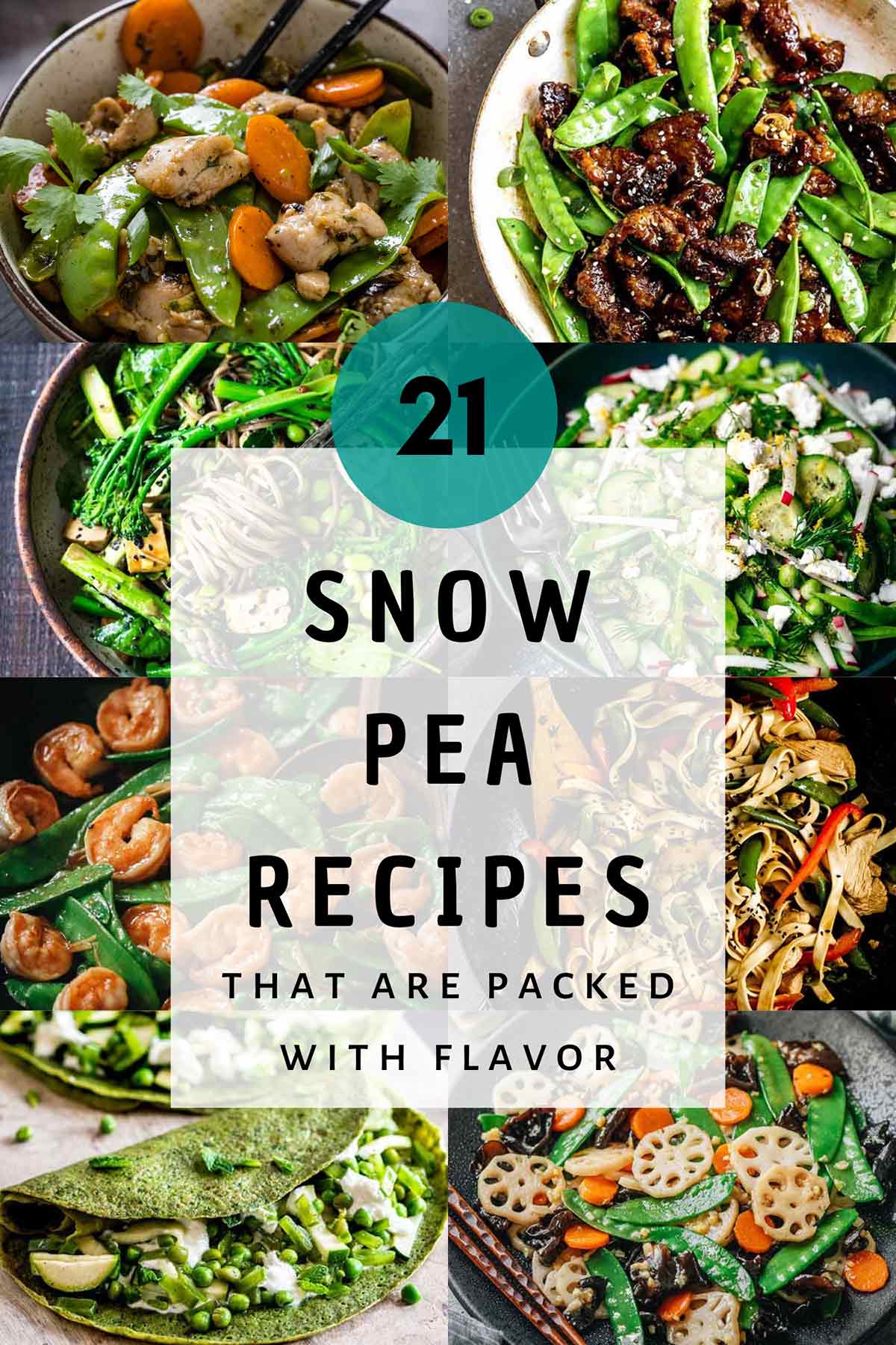 Snow Pea recipes featured image